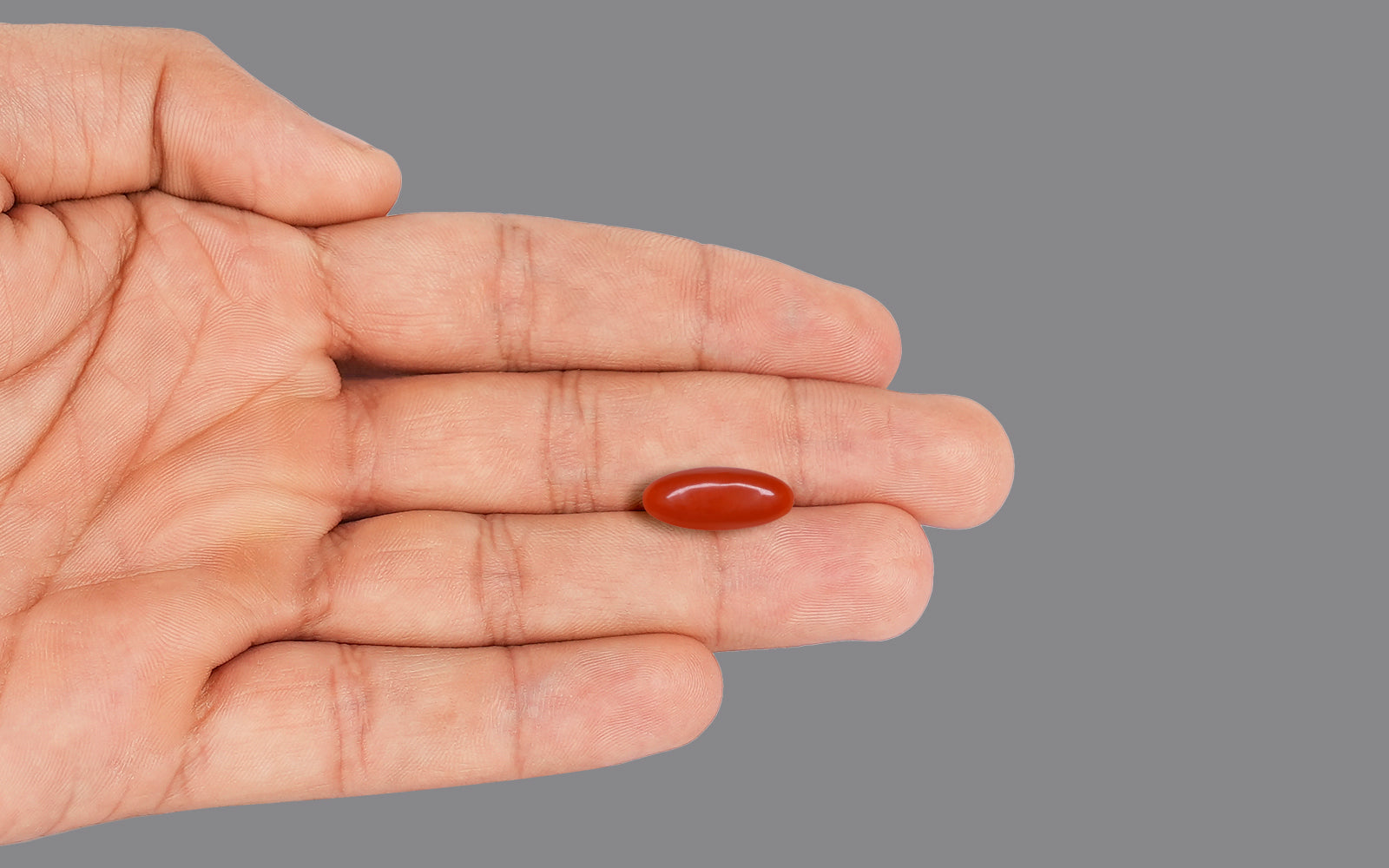 Red coral - Italian (6.18 Carats)