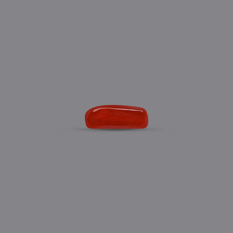 Red coral - Italian (7.3 Carats)