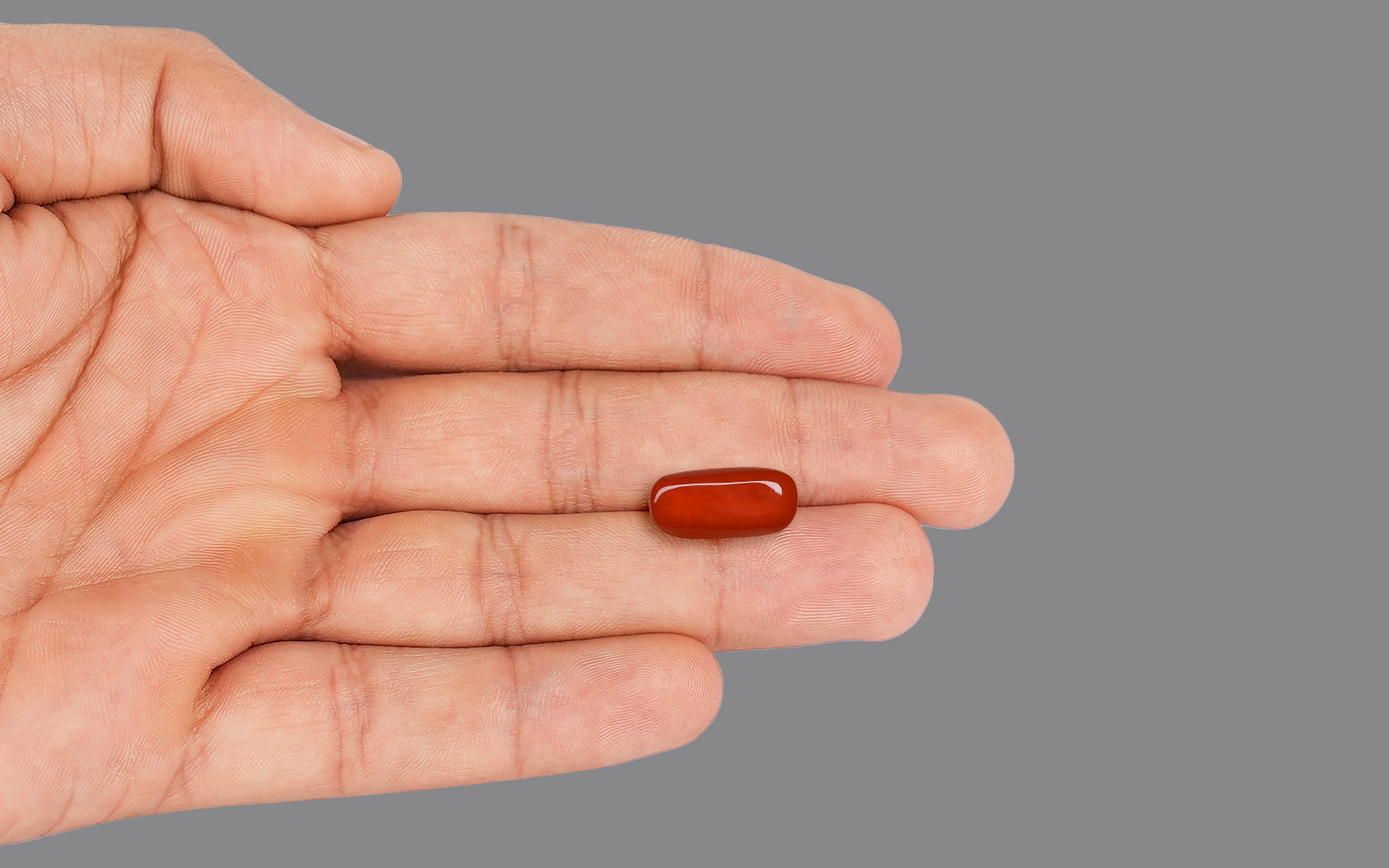 Red coral - Italian (9 Carats)