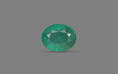 Emerald (Panna) - 8.99 Carats