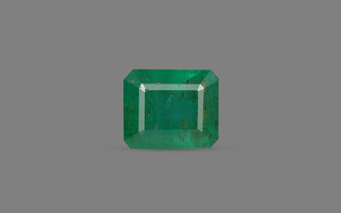 Emerald (Panna) - 9.63 Carats