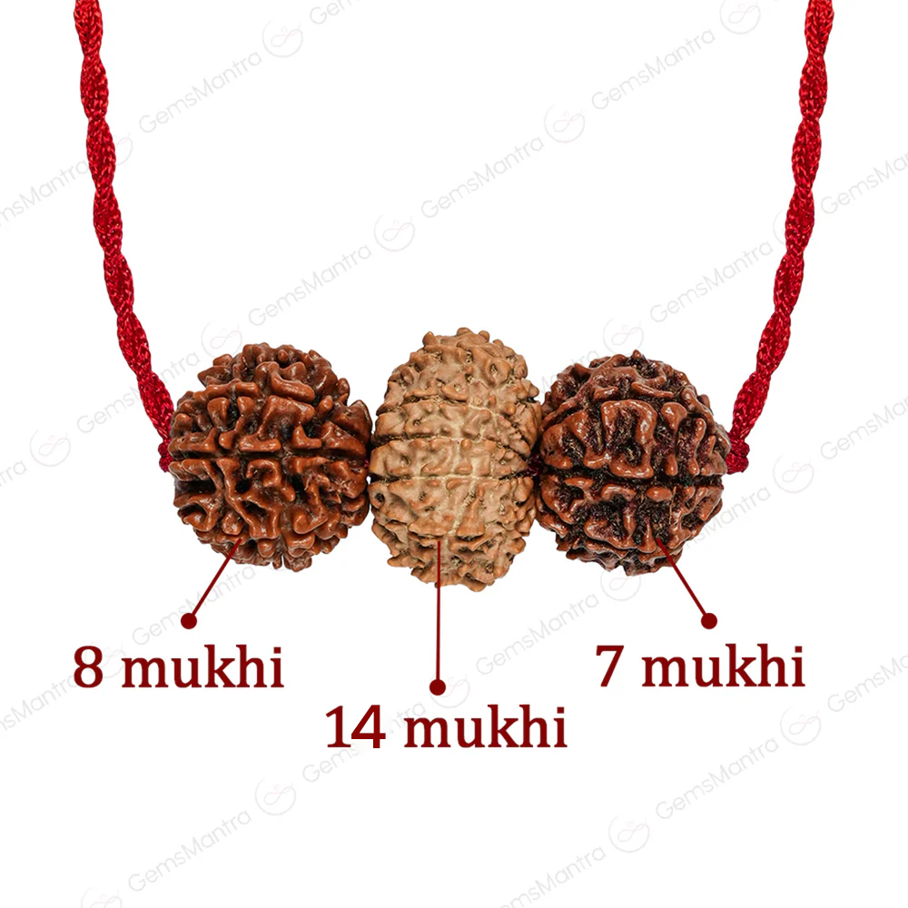 Brokers & Industrialists Kavach with Free Certification