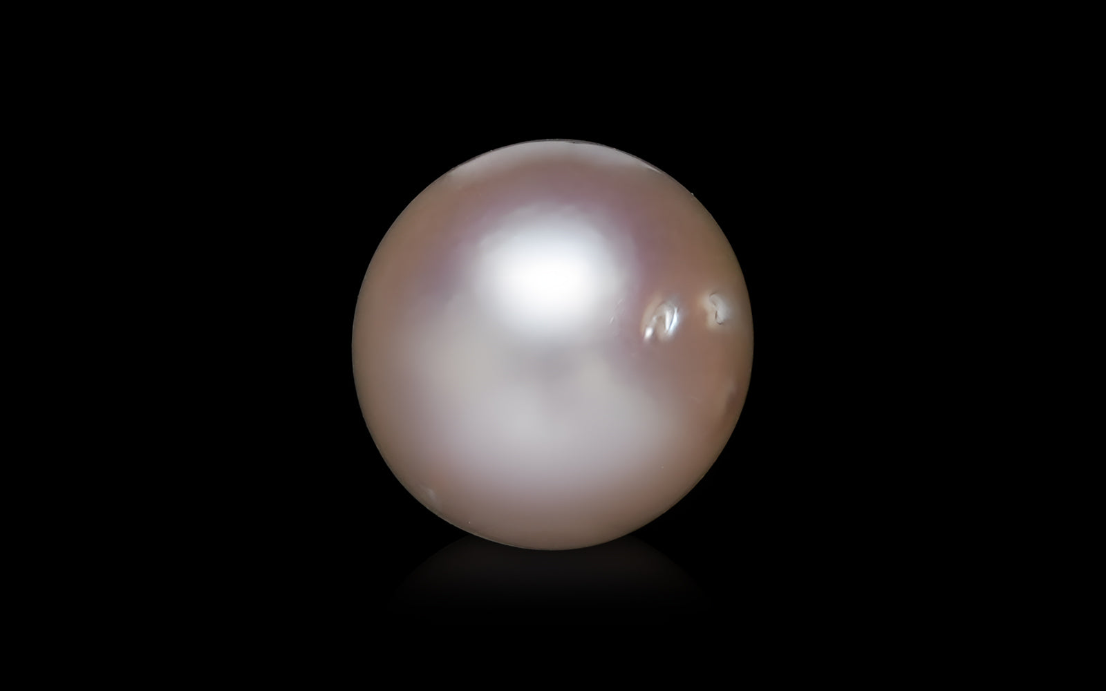 South Sea Pearl - 6.12 Carats