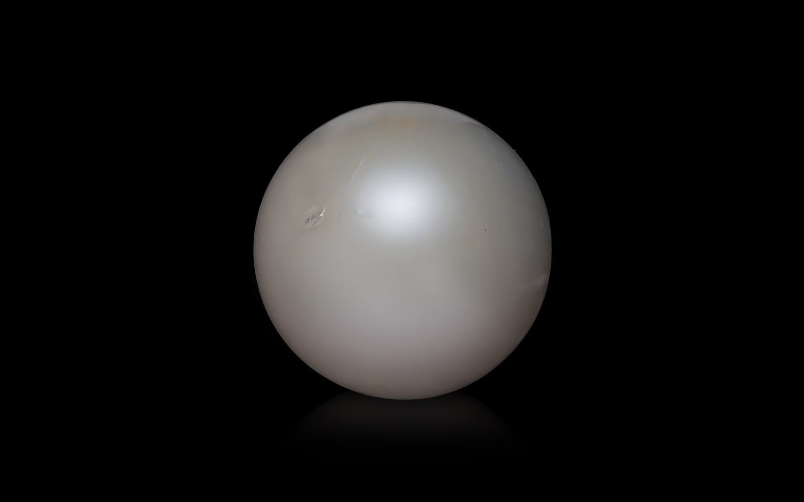 South Sea Pearl - 6.19 Carats