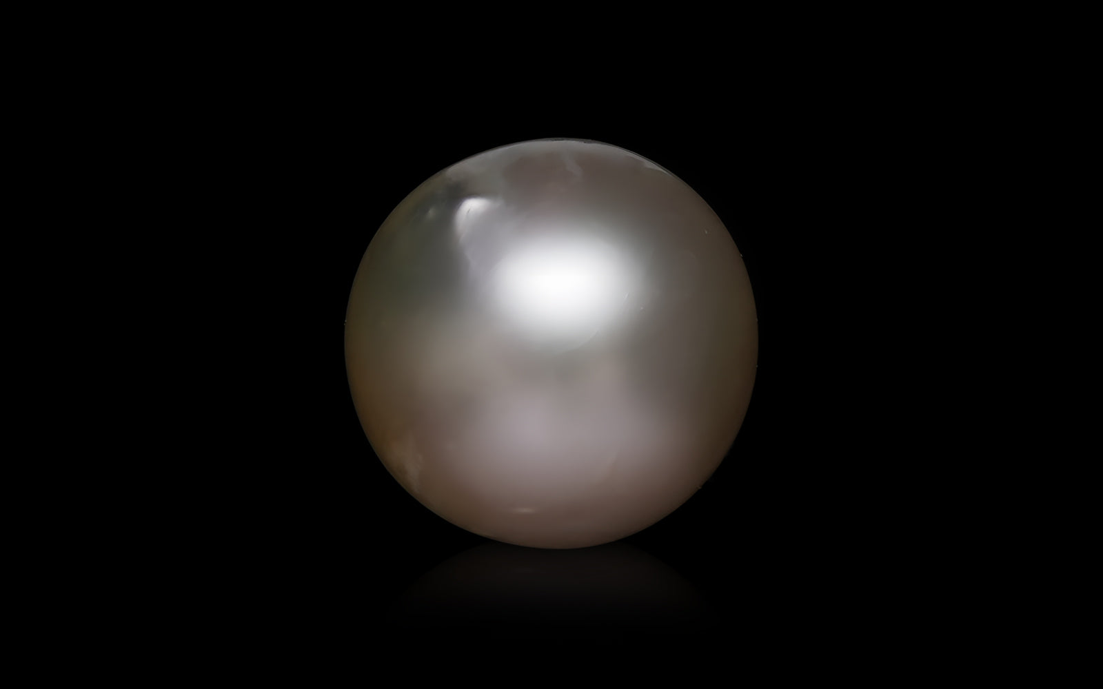 South Sea Pearl - 10.09 Carats