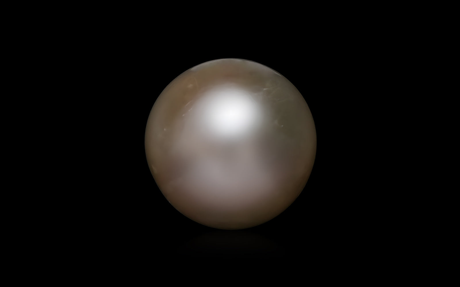 South Sea Pearl - 10.09 Carats