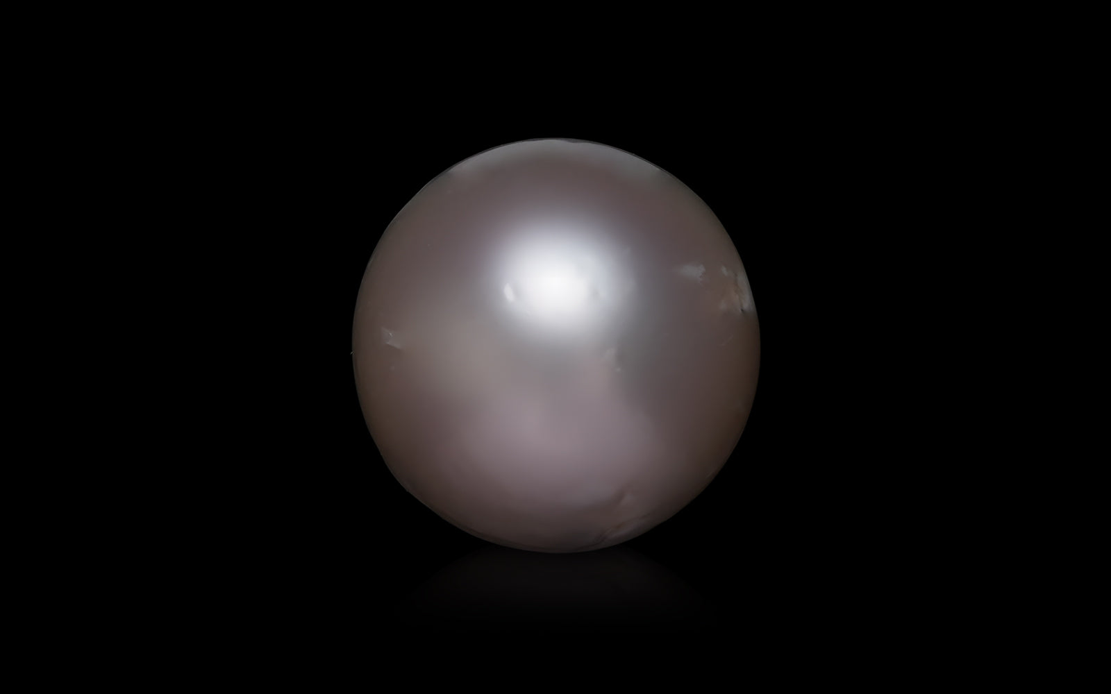 South Sea Pearl - 8.67 Carats