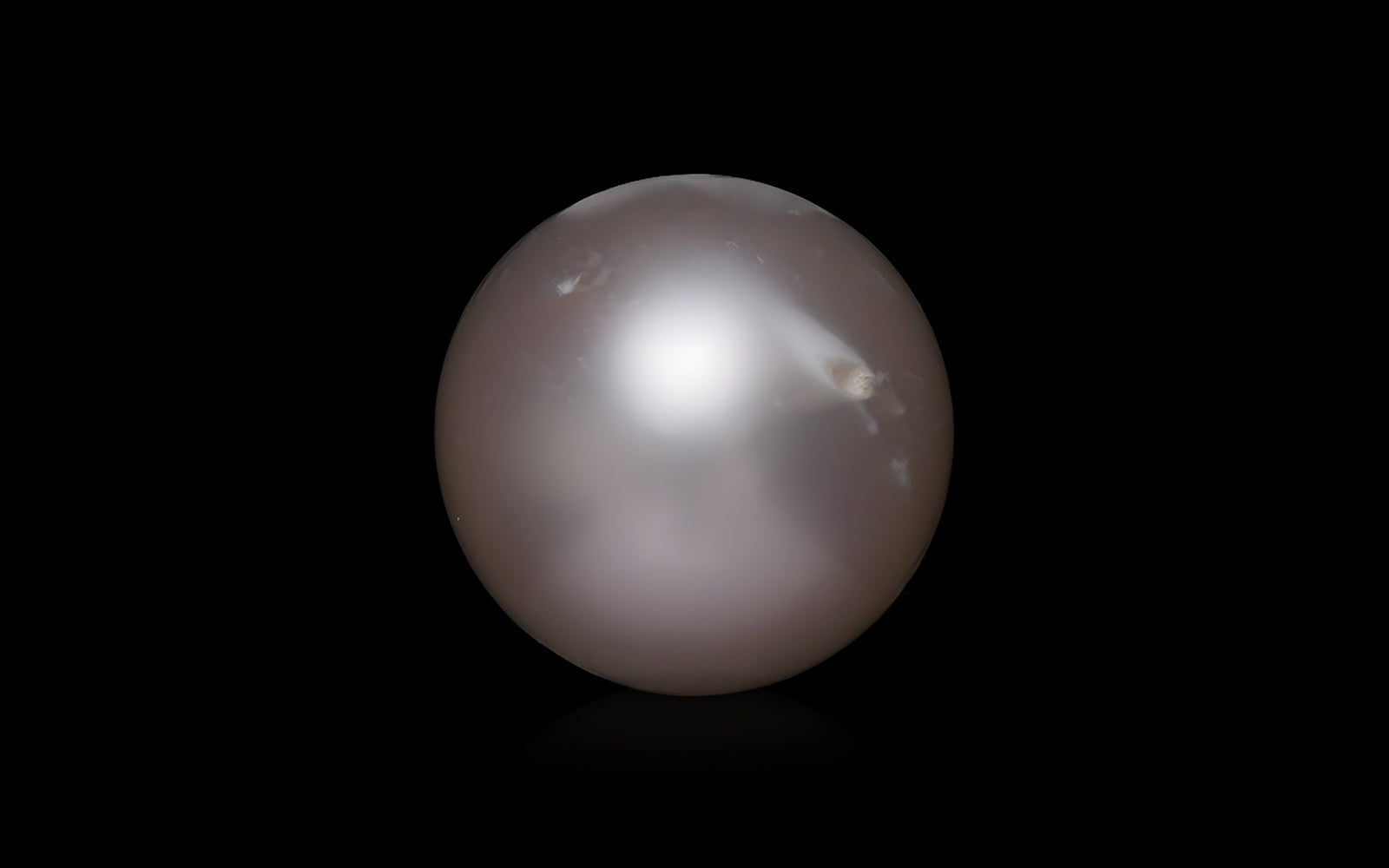 South Sea Pearl - 8.67 Carats