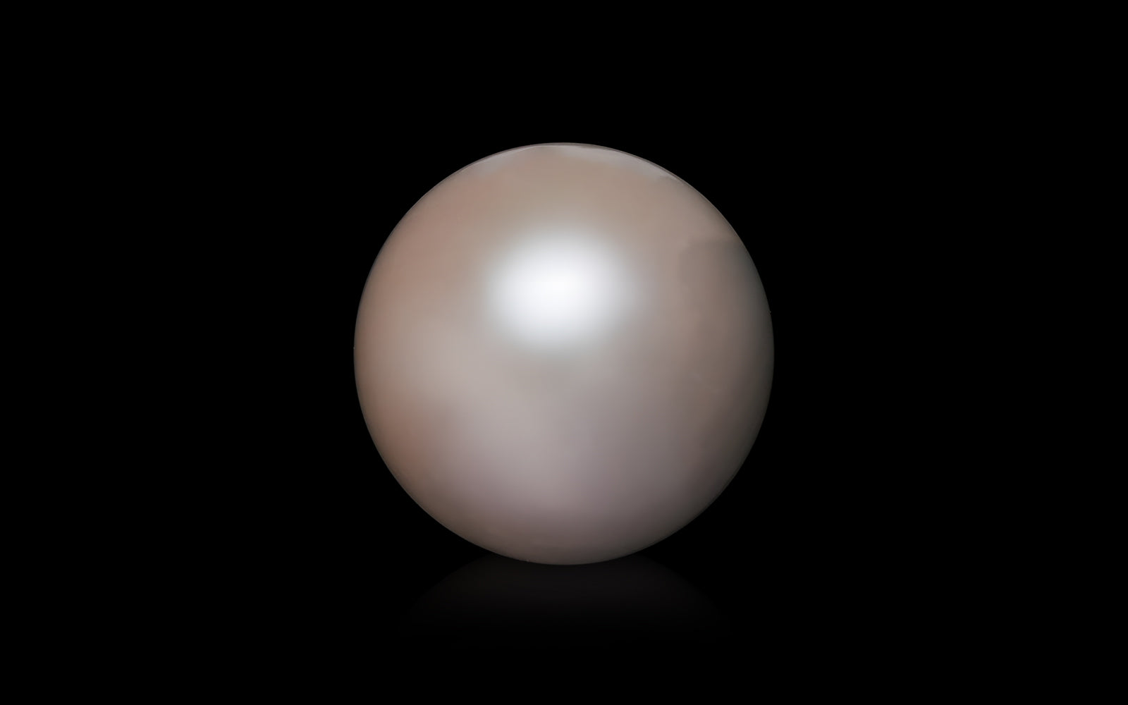 South Sea Pearl - 9.08 Carats