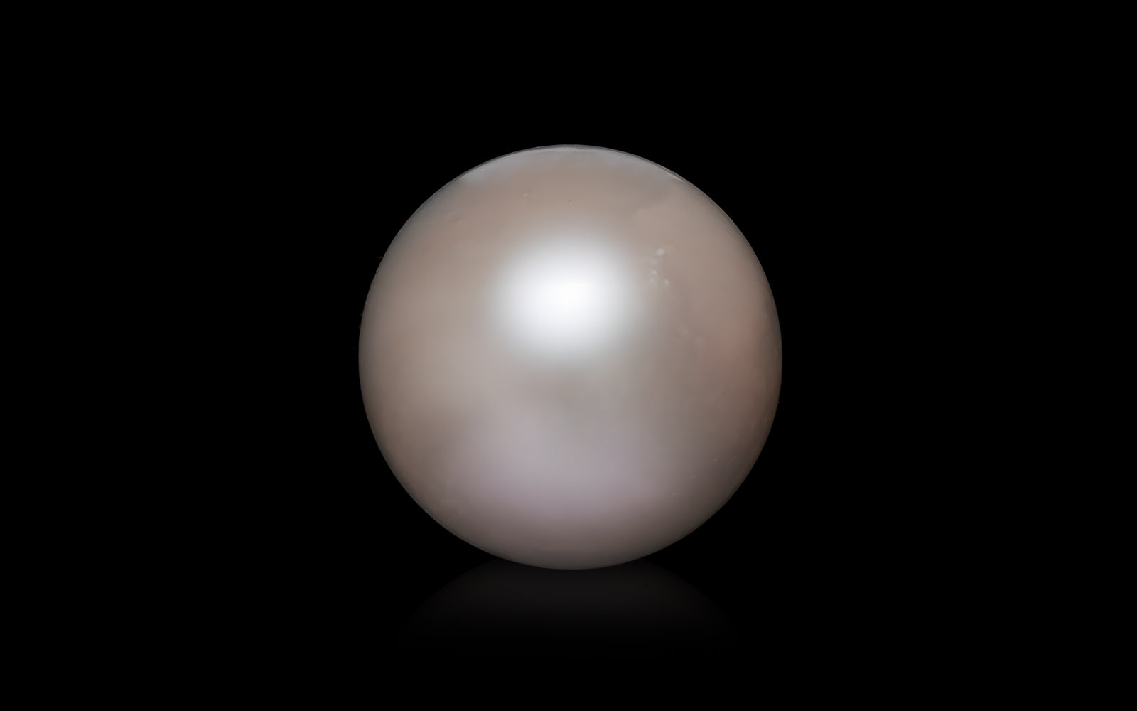 South Sea Pearl - 9.08 Carats