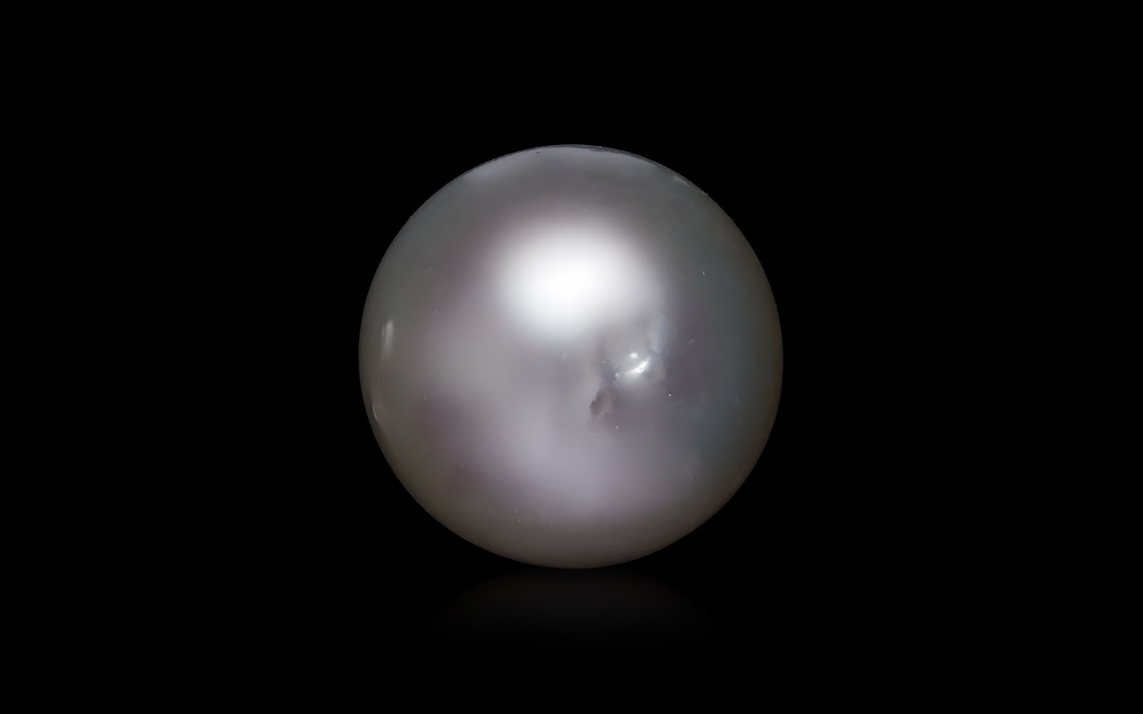 South Sea Pearl - 10.8 Carats