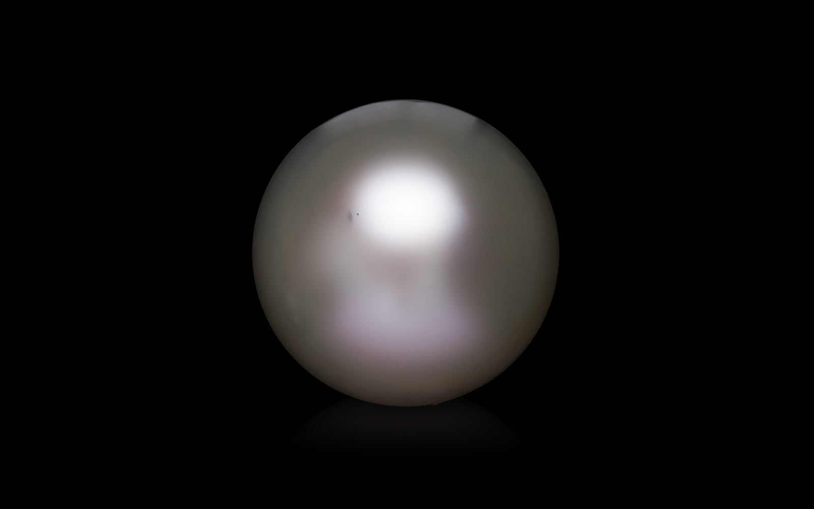 South Sea Pearl - 6.29 Carats