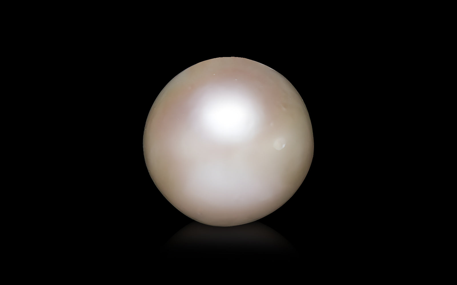 South Sea Pearl - 10.5 Carats