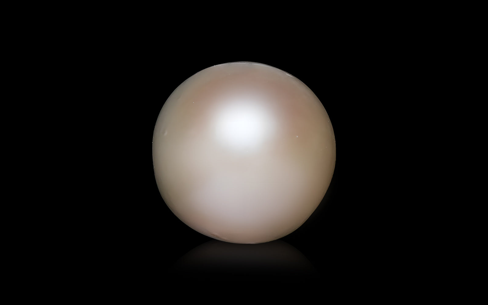 South Sea Pearl - 10.5 Carats