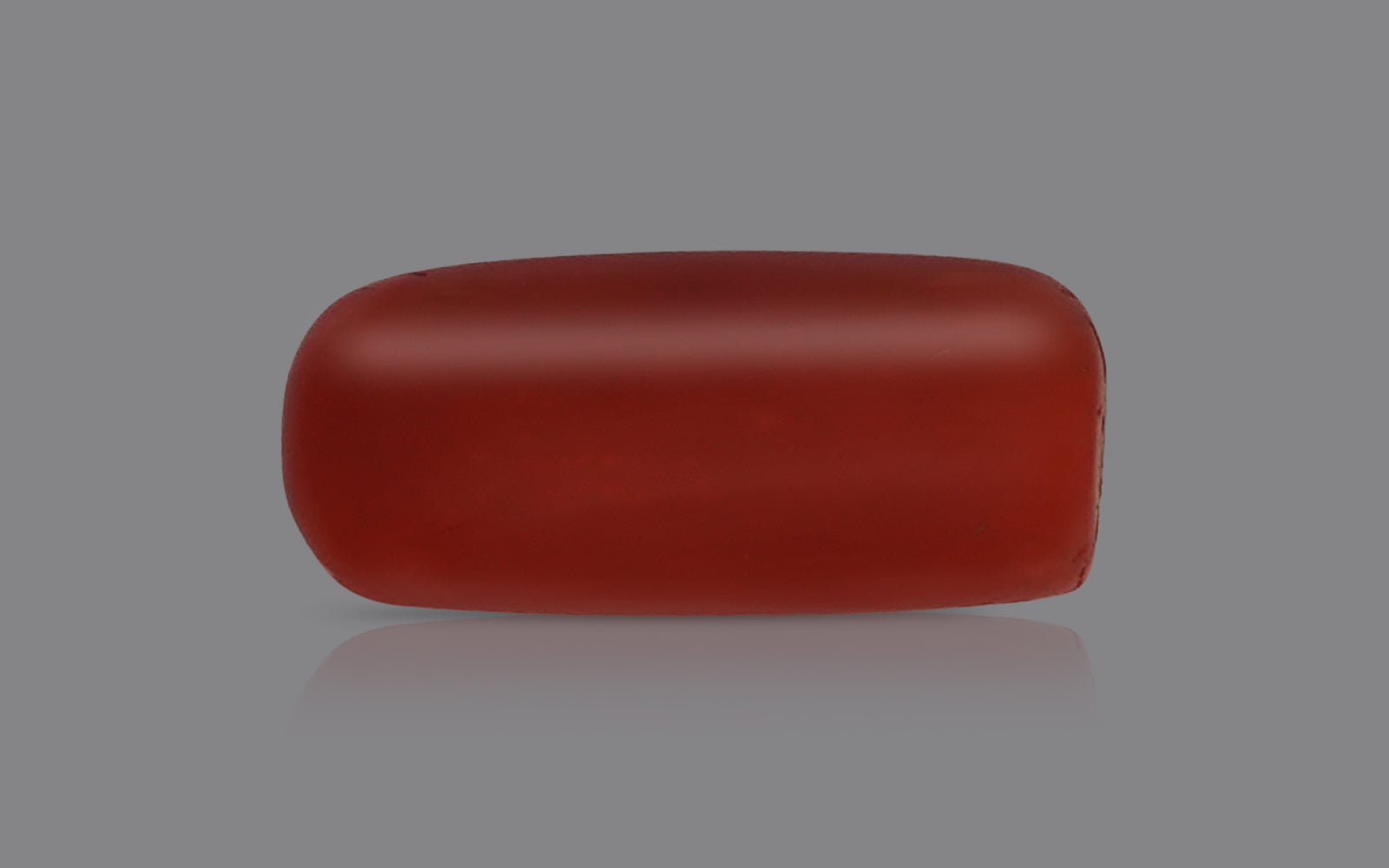 Red Coral - 5.33 Carats