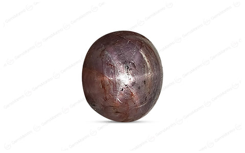 Star Ruby (Manik) – 7.56 Carat / 8.3 Ratti [GM01133]