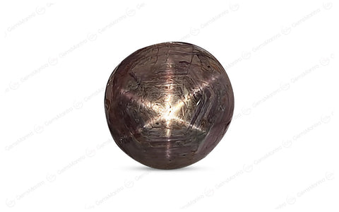 Star Ruby (Manik) – 9.48 Carat / 10.4 Ratti [GM01135]