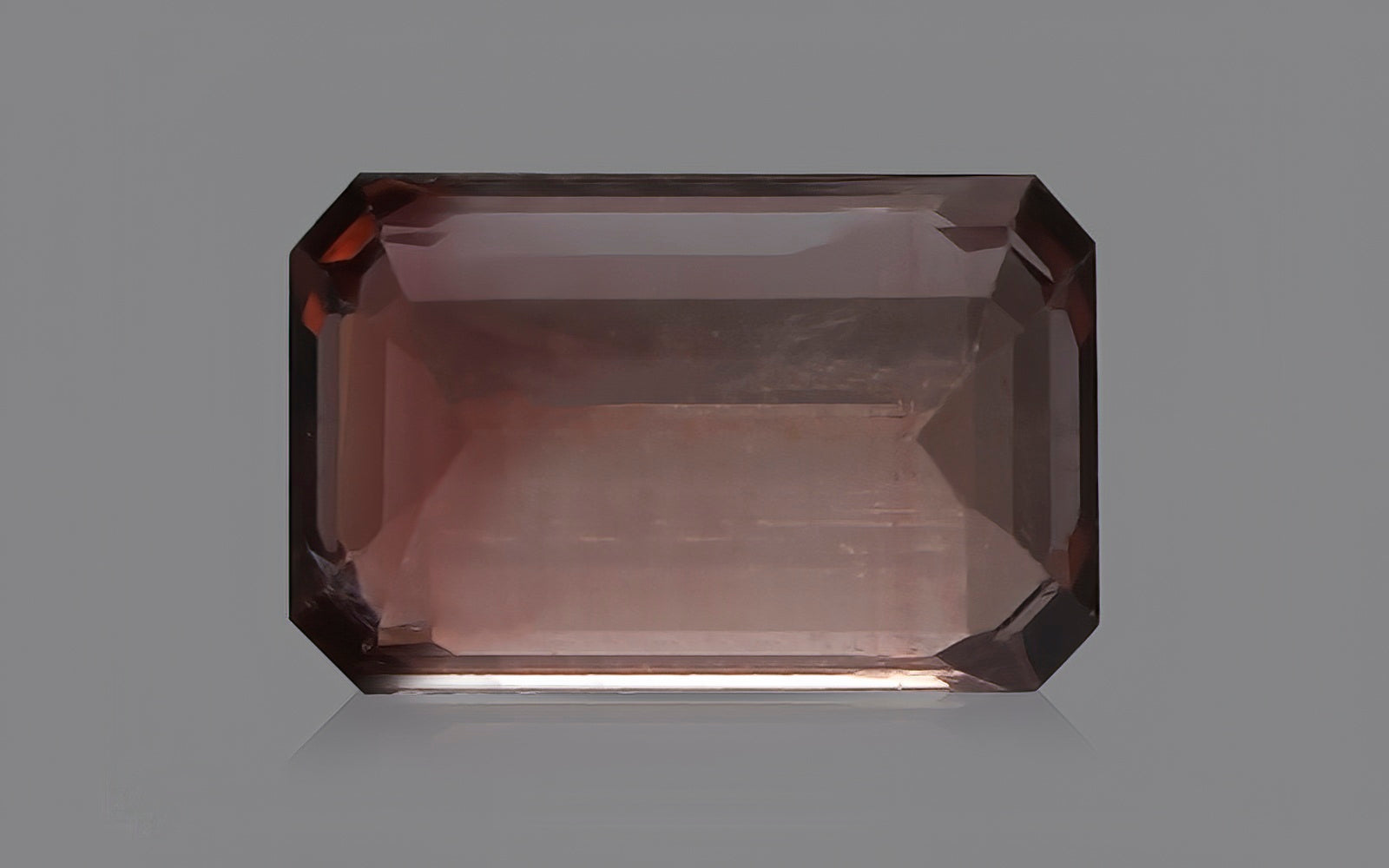 Bi Color Tourmaline - 3.76 Carats