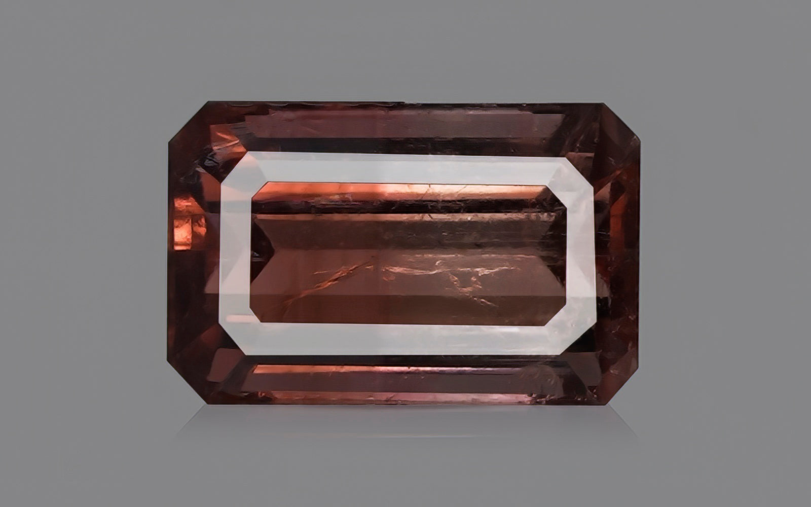 Bi Color Tourmaline - 3.76 Carats