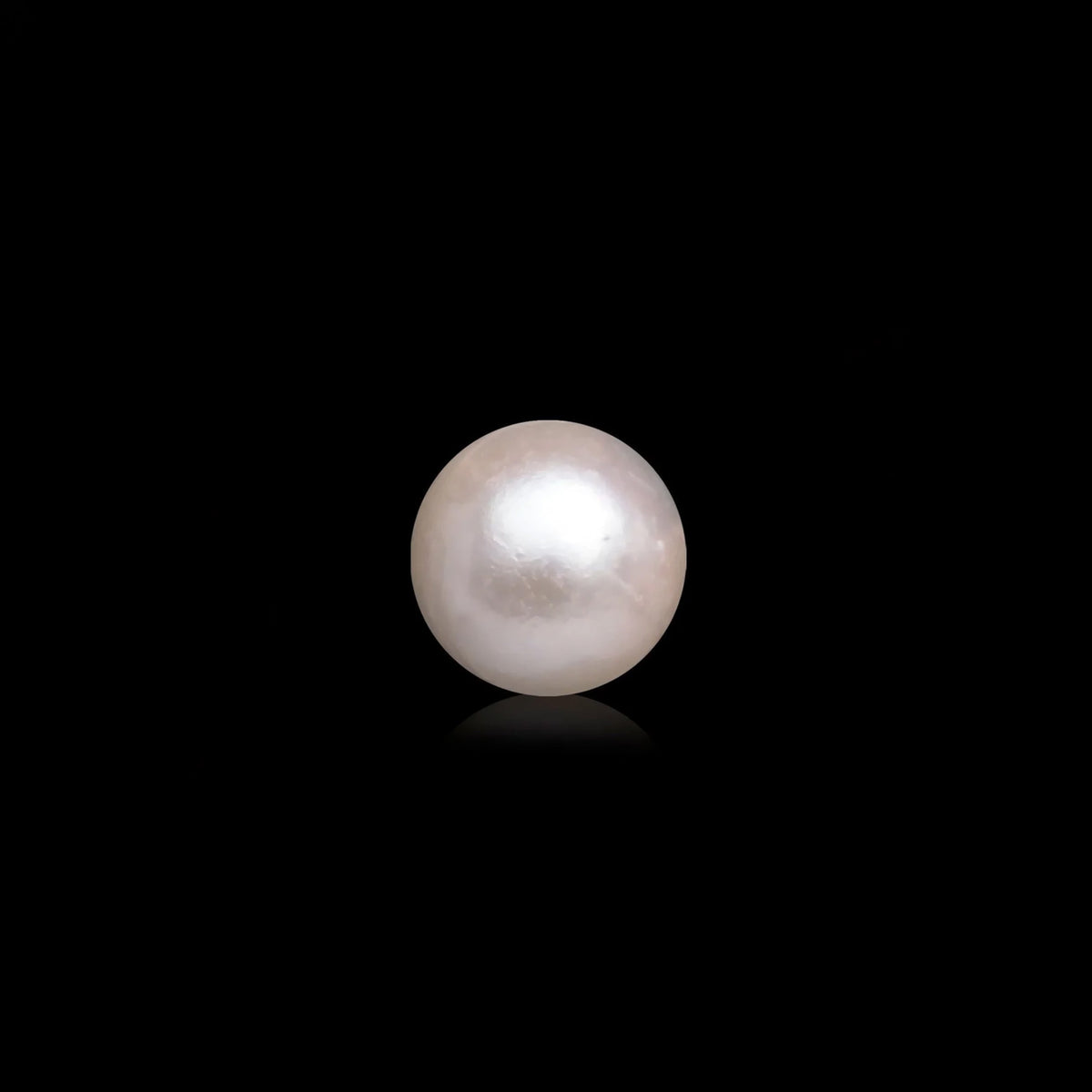South Sea Pearl - 9.23 Carats