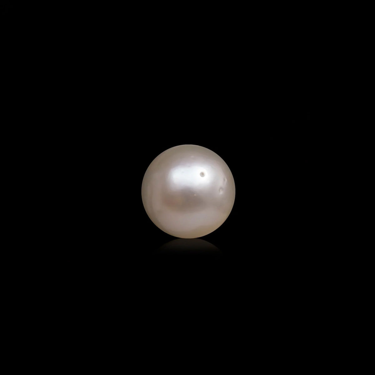 South Sea Pearl - 10.58 Carats