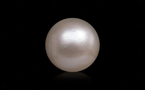 South Sea Pearl - 10.58 Carats