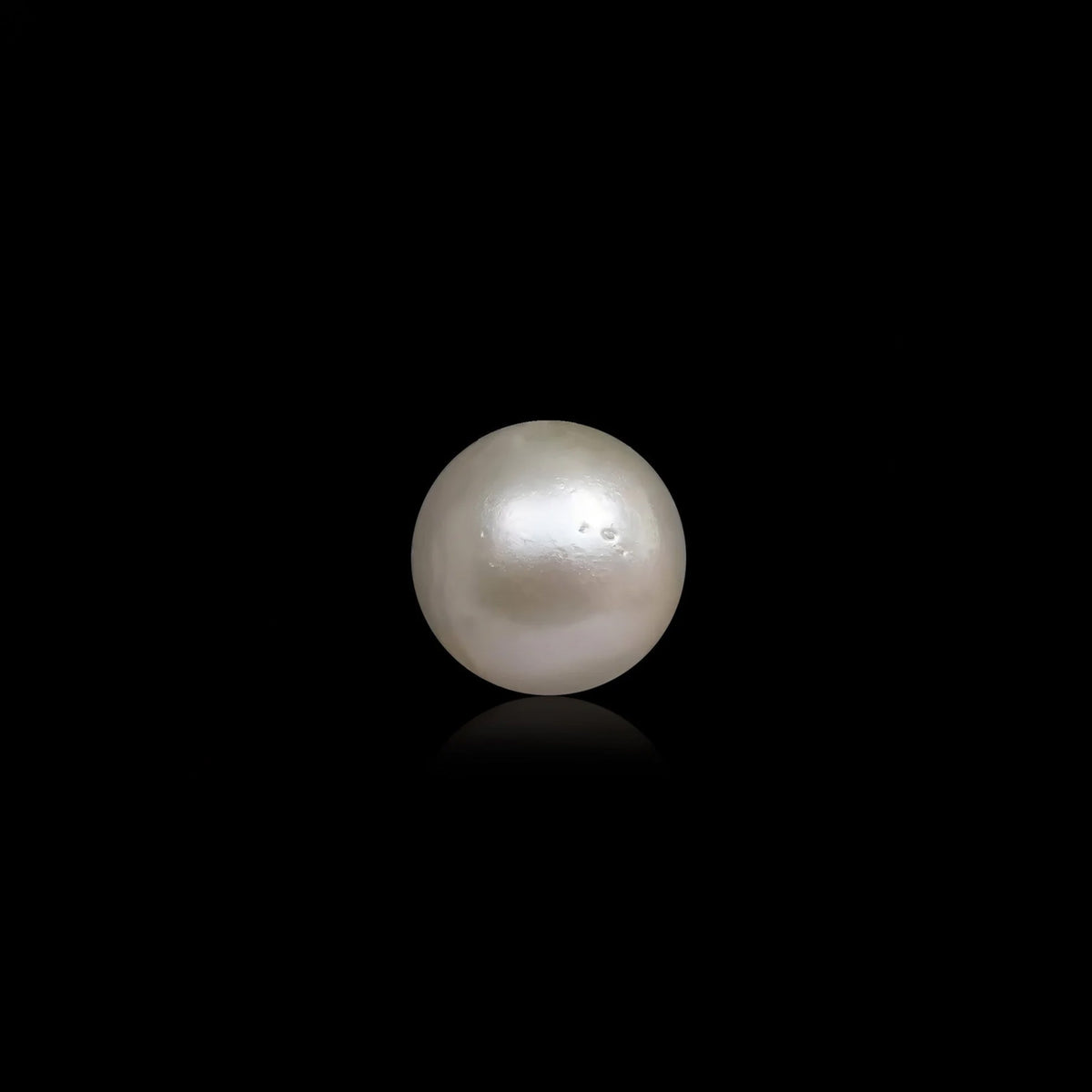 South Sea Pearl - 10.82 Carats