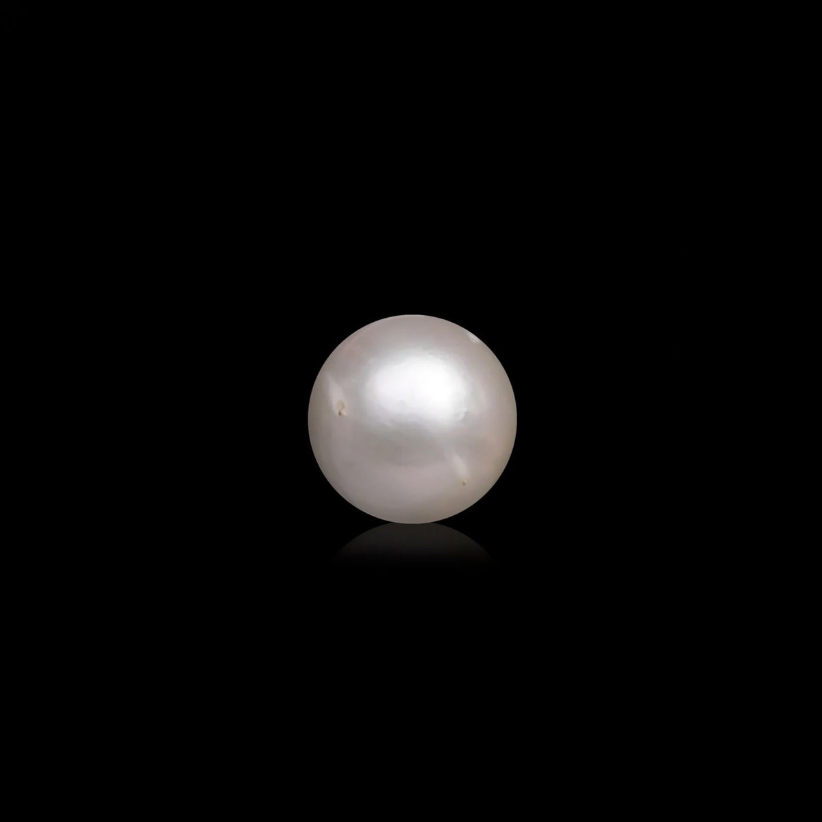 South Sea Pearl - 10.16 Carats