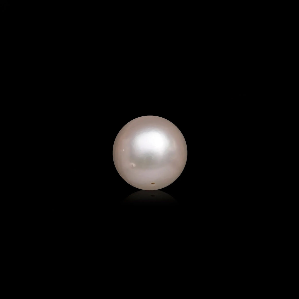South Sea Pearl - 10 Carats