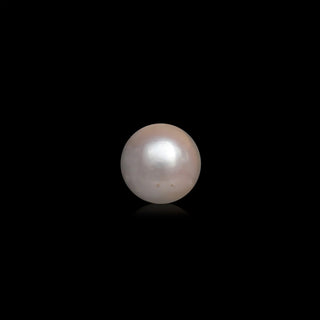 South Sea Pearl - 10.1 Carats