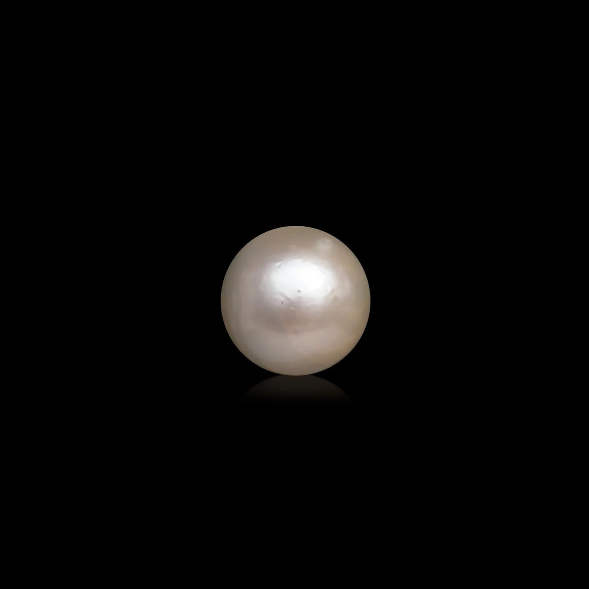 South Sea Pearl - 10.11 Carats