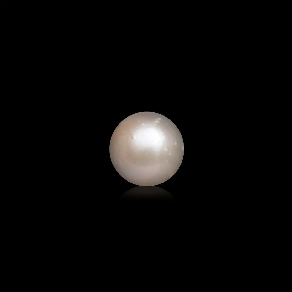 South Sea Pearl - 10.04 Carats