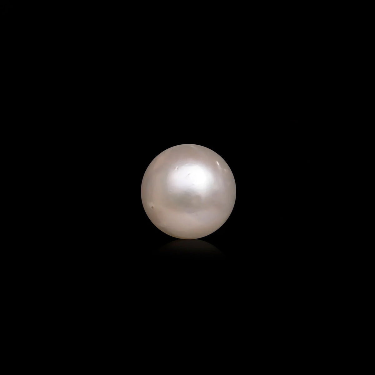 South Sea Pearl - 10.04 Carats
