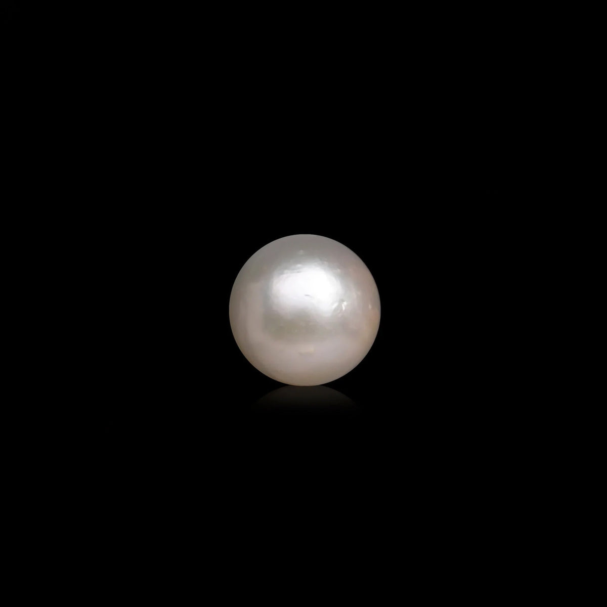 South Sea Pearl - 10.07 Carats