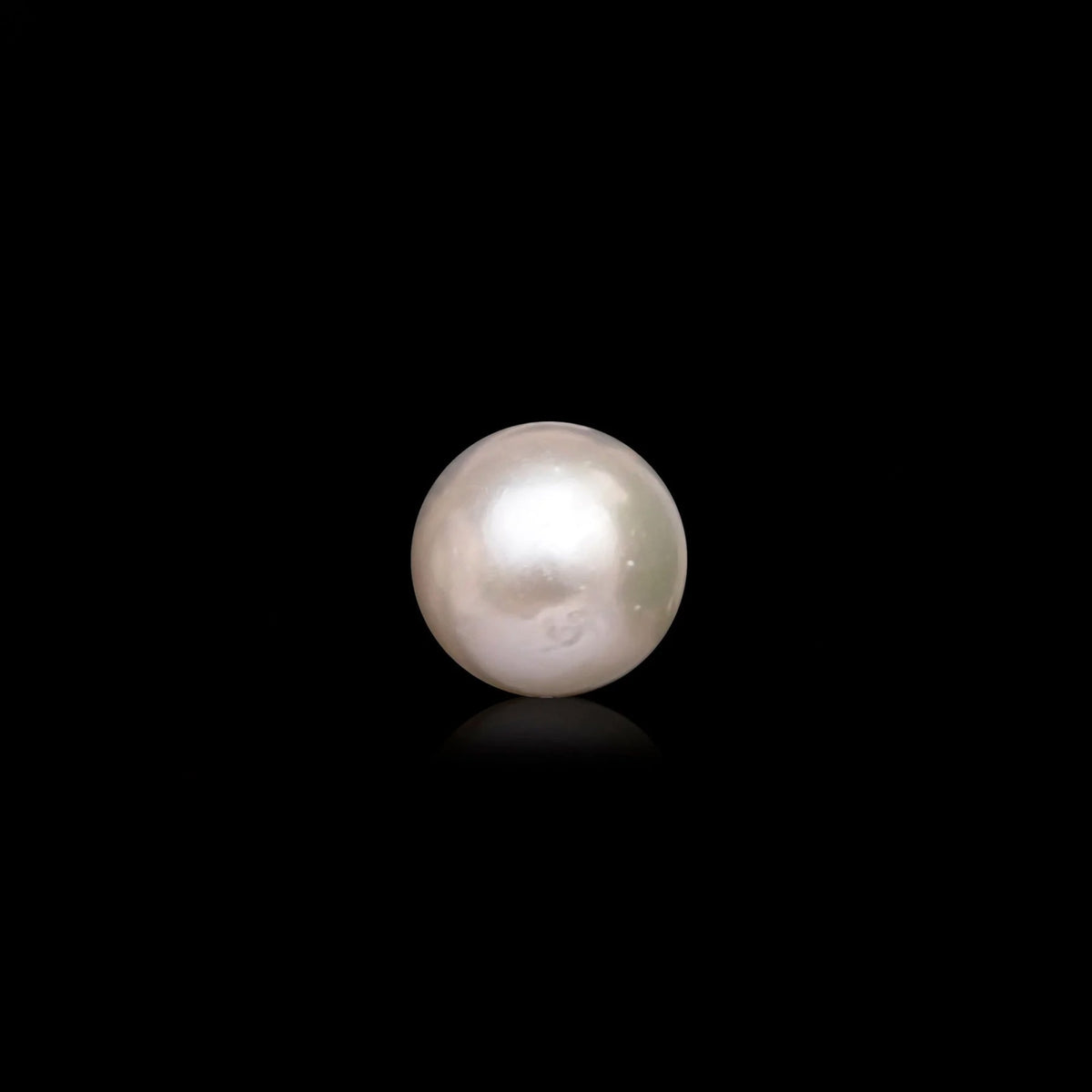 South Sea Pearl - 10.83 Carats