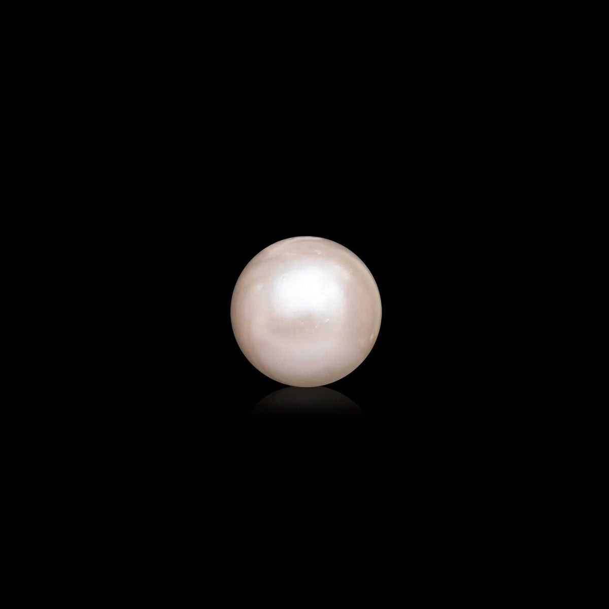 South Sea Pearl - 10.26 Carats