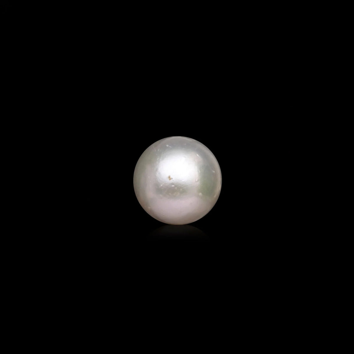 South Sea Pearl - 10.19 Carats