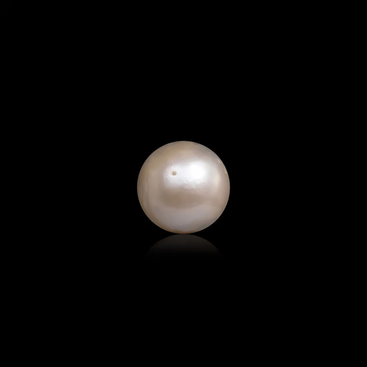 South Sea Pearl - 11.43 Carats