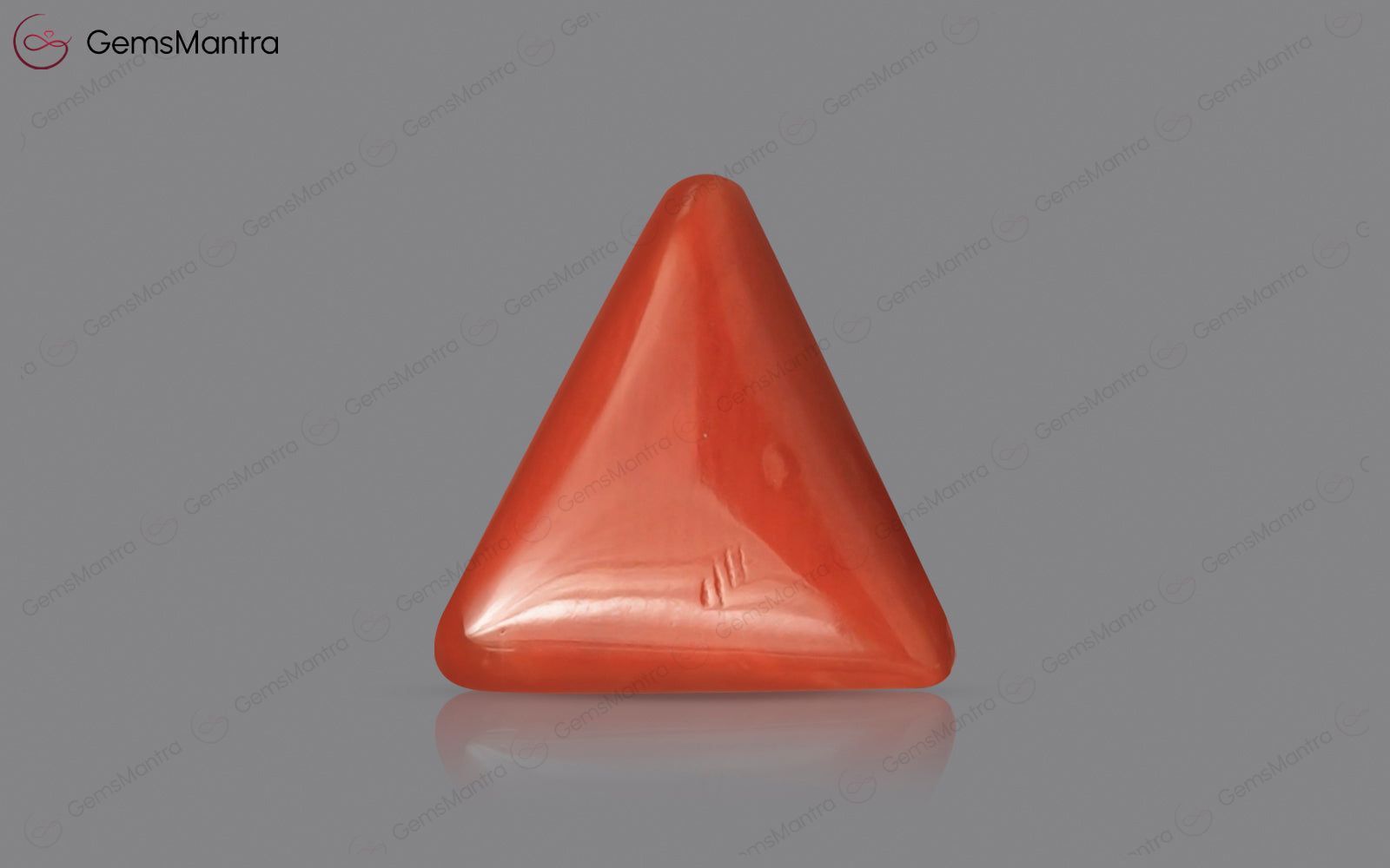 Red Coral - 2.9 Carats