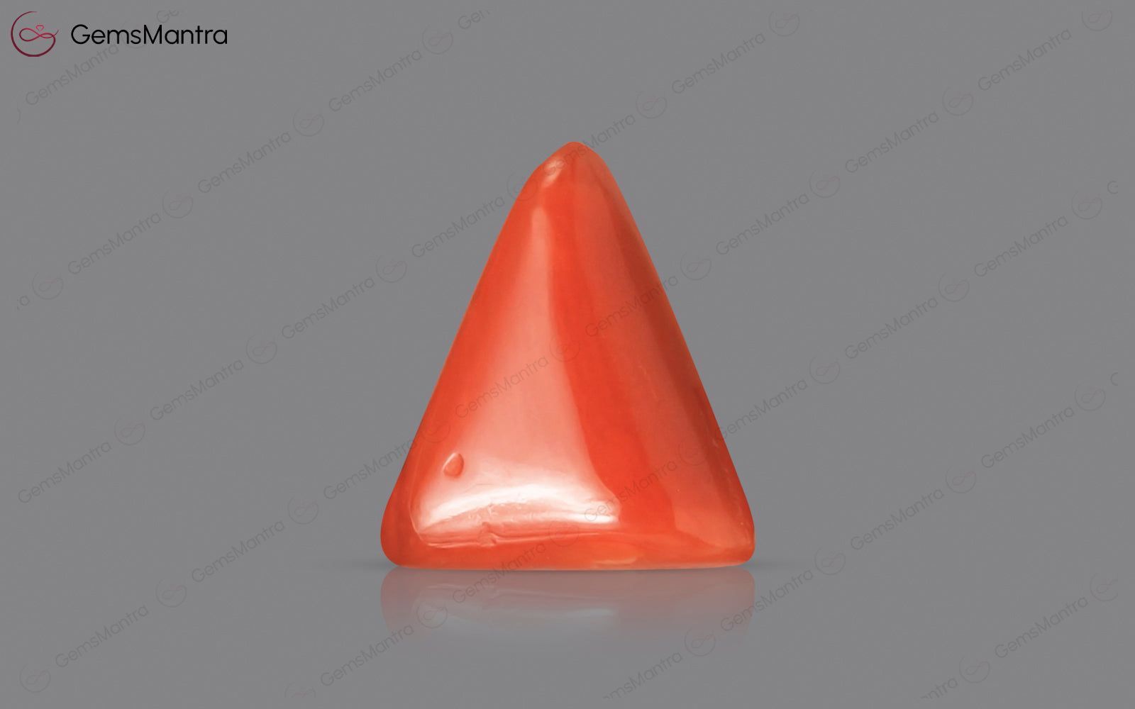 Red Coral - 2.88 Carats
