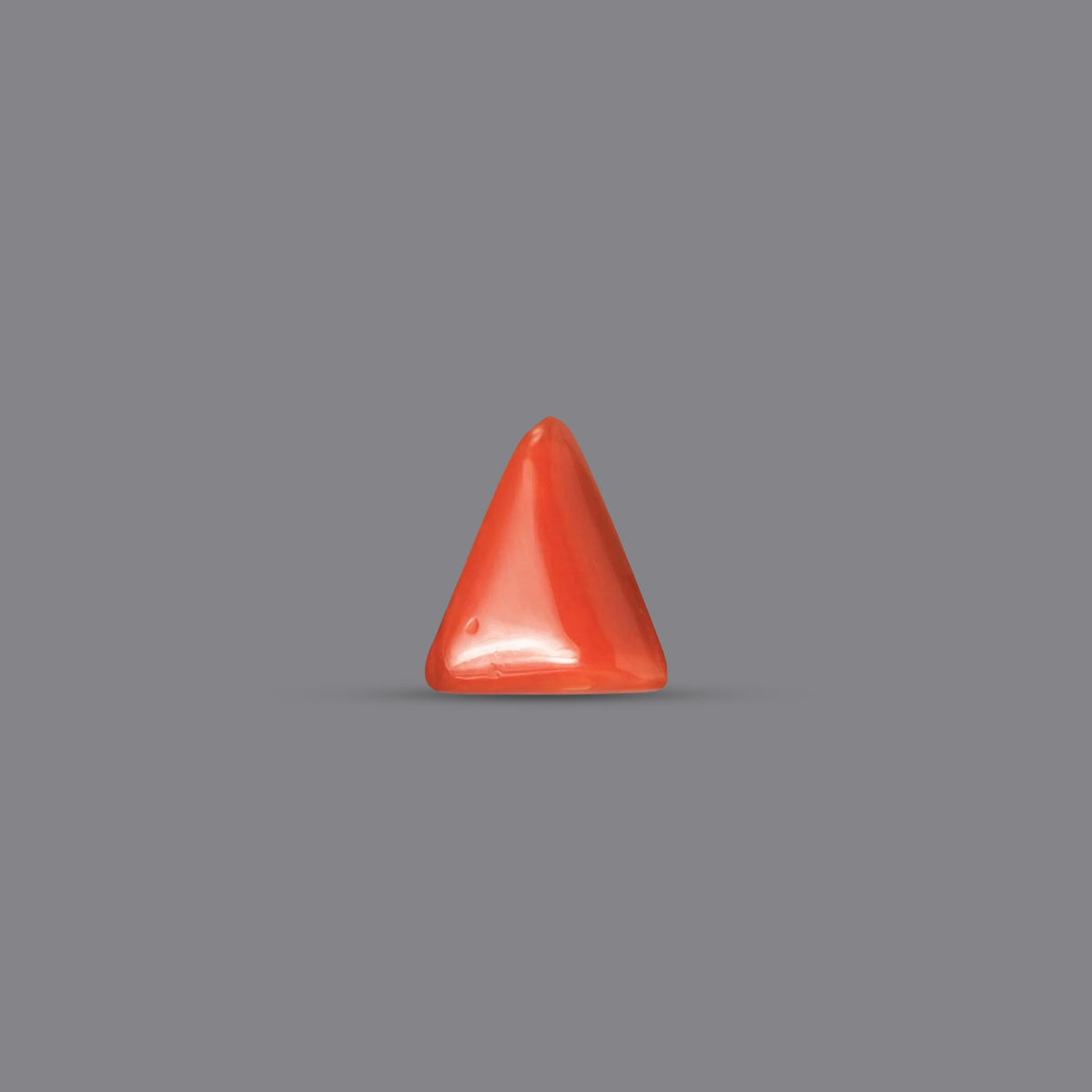 Red Coral - 2.88 Carats