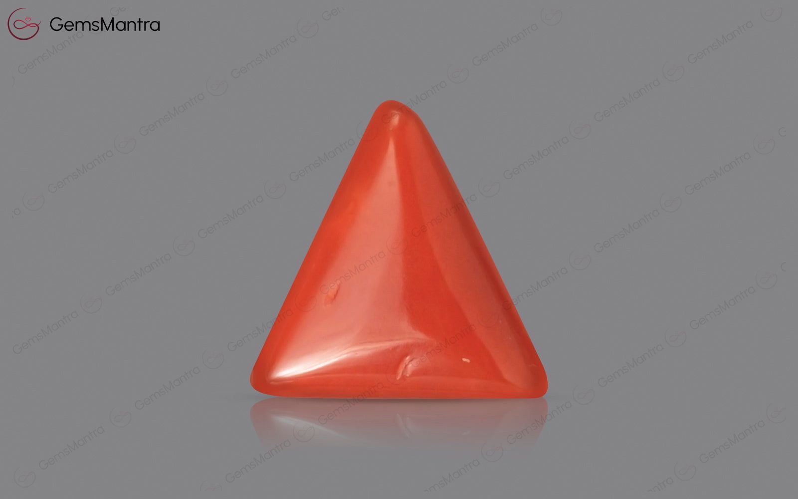 Red Coral - 2.9 Carats