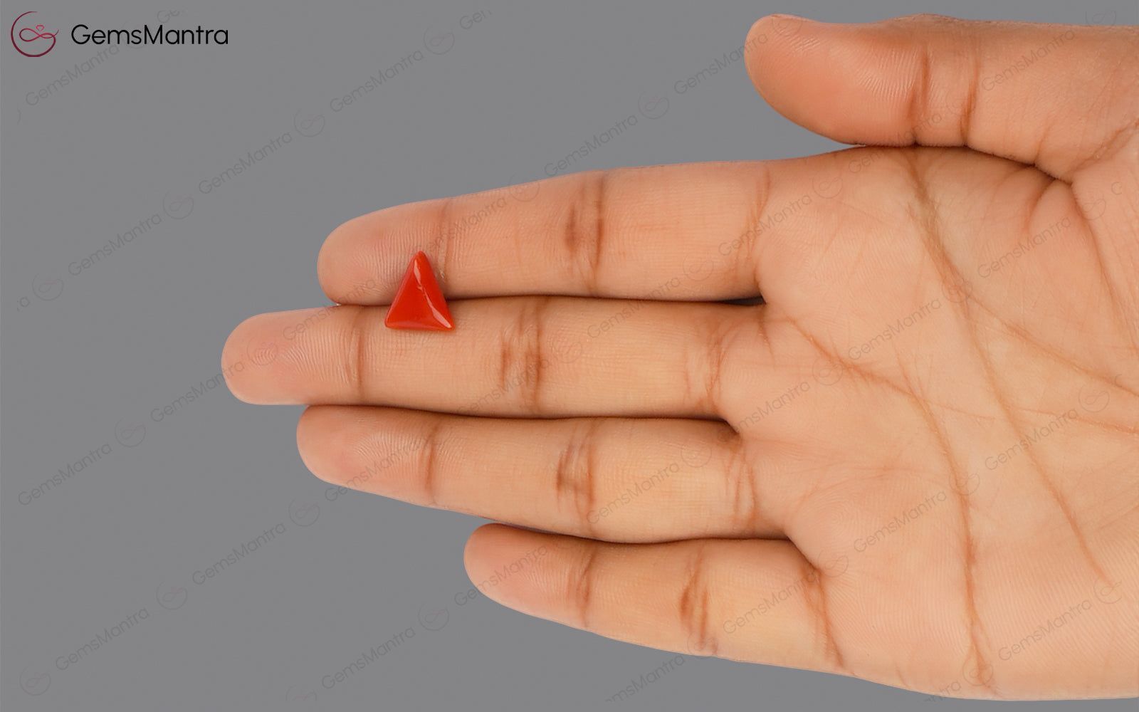 Red Coral - 2.76 Carats