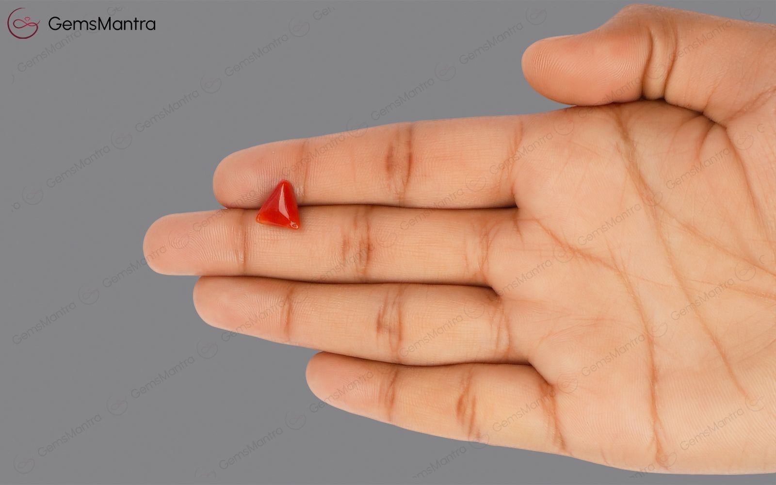 Red Coral - 2.75 Carats