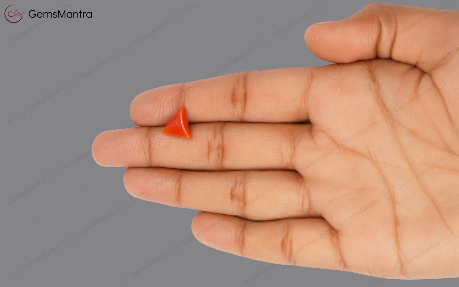 Red Coral - 2.67 Carats
