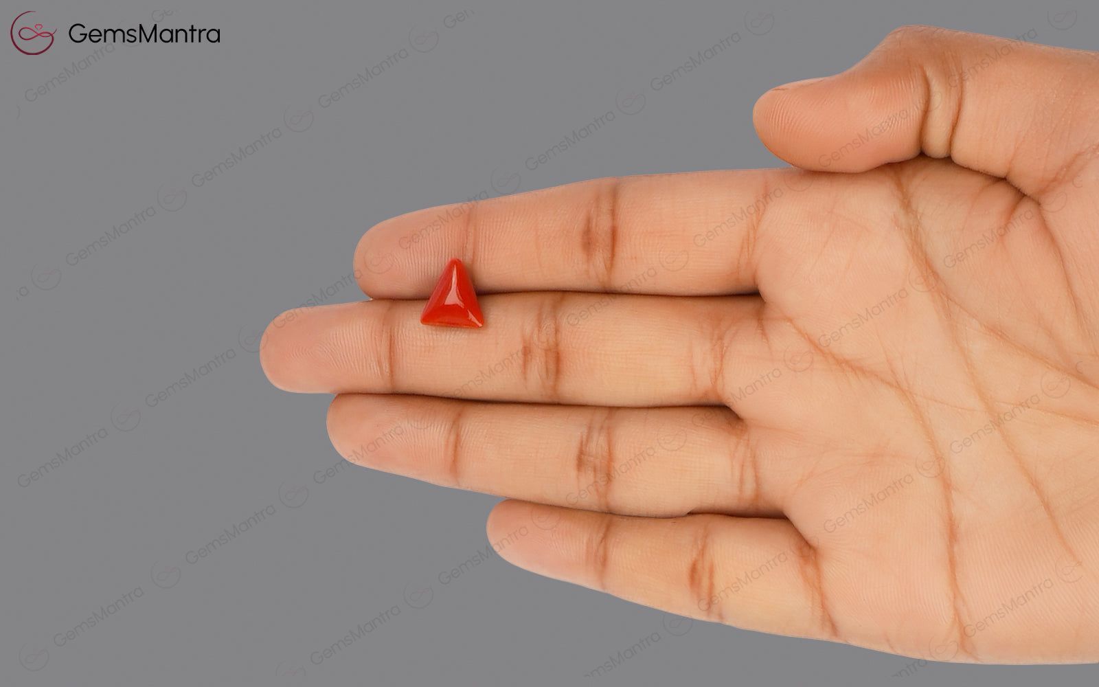 Red Coral - 2.94 Carats