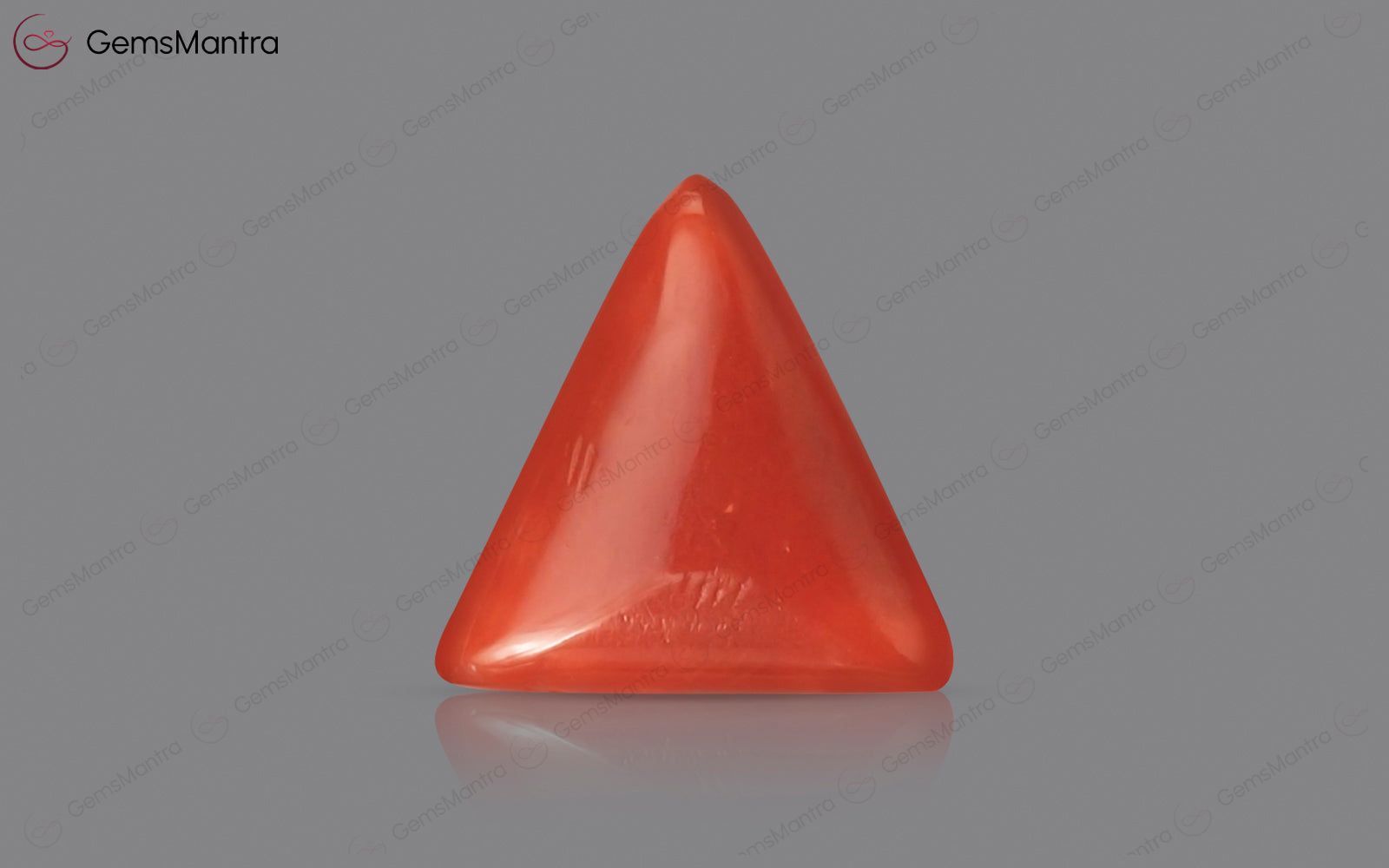 Red Coral - 2.88 Carats