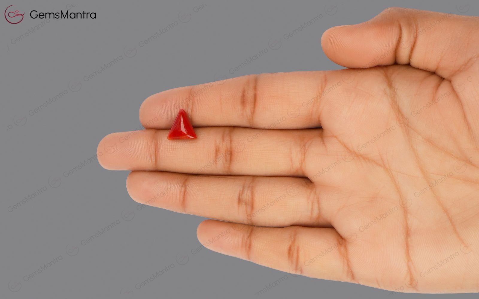 Red Coral - 2.88 Carats