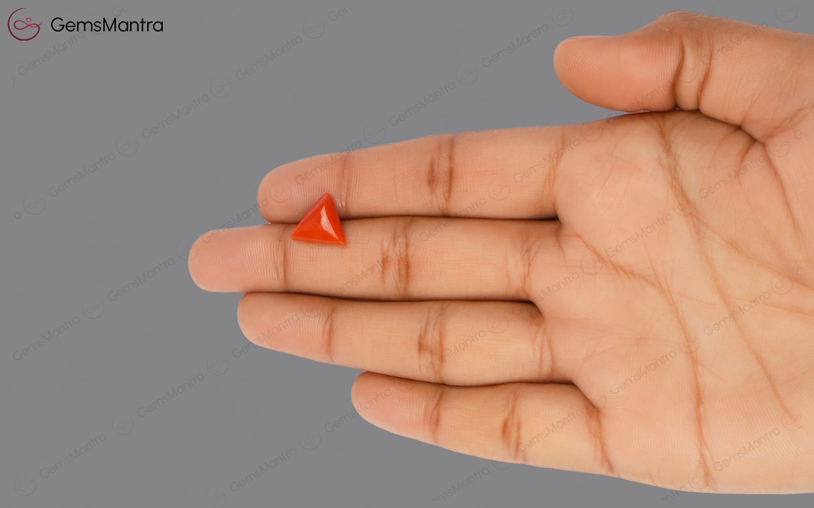 Red Coral - 2.89 Carats