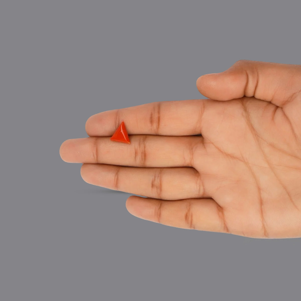 Red Coral - 2.87 Carats